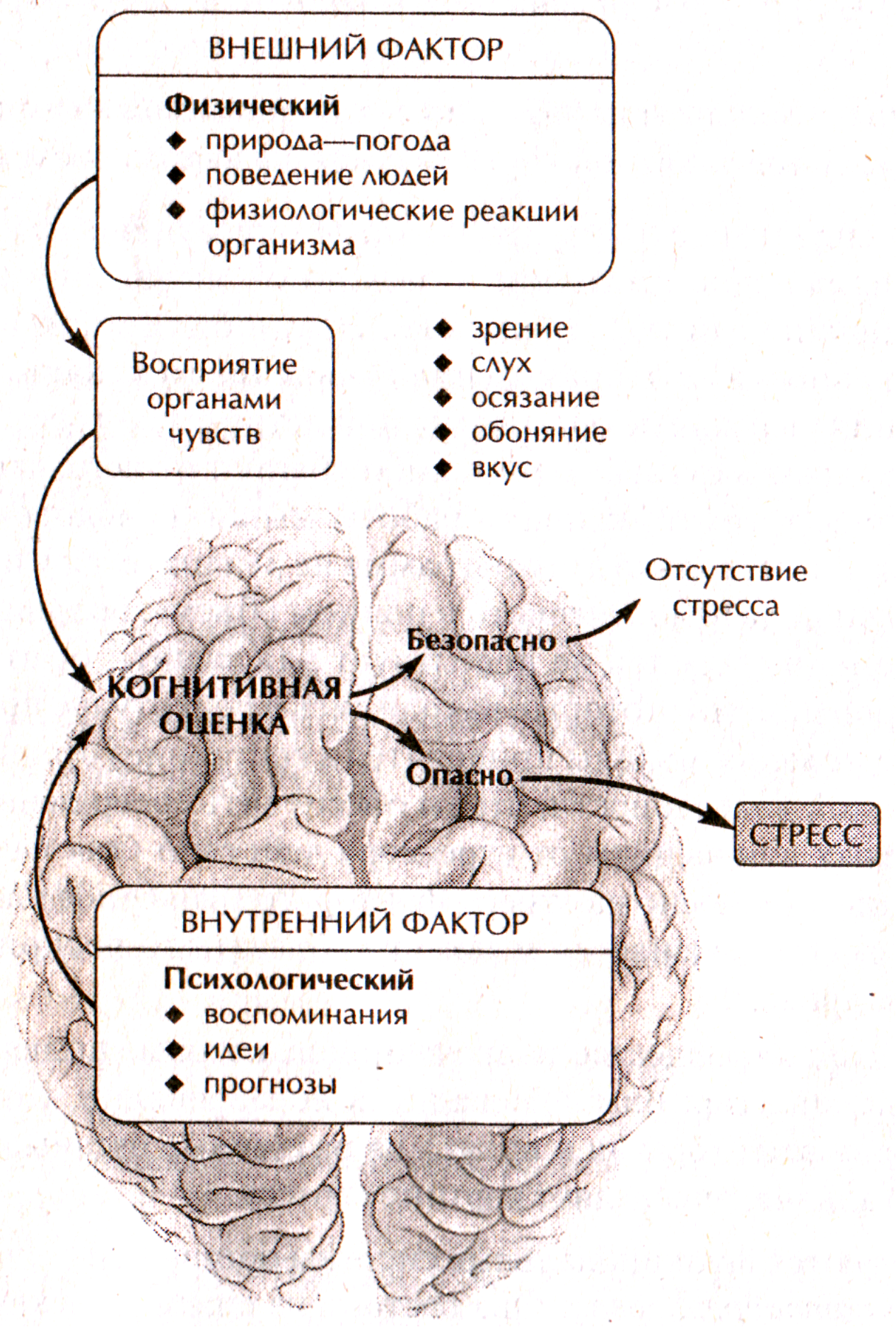 О стрессе